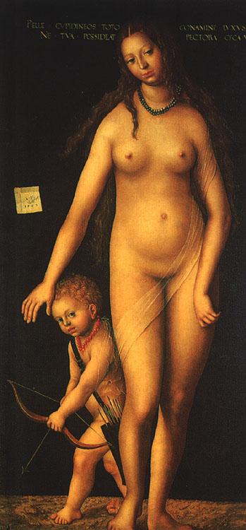 CRANACH, Lucas the Elder Venus and Cupid dfg oil painting image